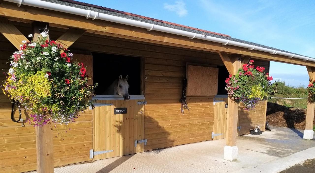 Vila Rosebank Barn Brentor Exteriér fotografie