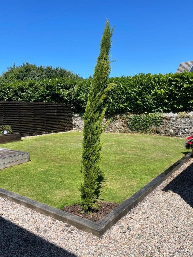 Vila Rosebank Barn Brentor Exteriér fotografie